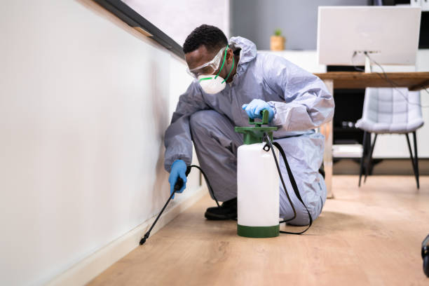 Best Fumigation Services  in Piermont, NY